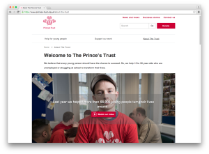 Princes Trust site 2