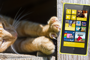 nokia cat_0