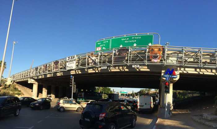 M&C Saatchi Tel Aviv Turns Billboard Construction into Cage for Non-Profit Organization, Herzelia Loves Animals