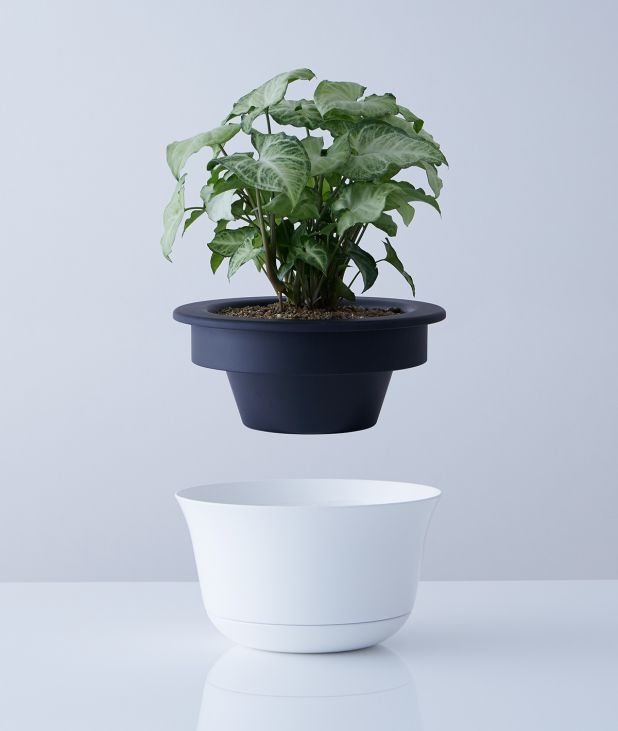 plantpot