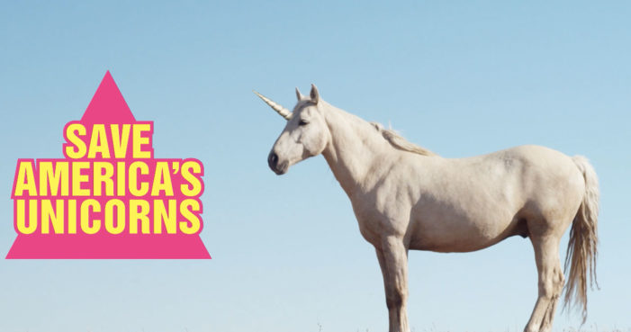 America’s Wild Horses Become Unicorns to Fight a No Sense Slaughter Ban