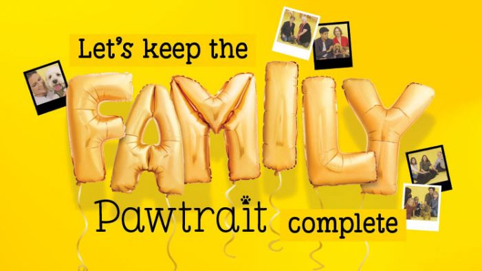 TMW Unlimited steals hearts with moving film for Dogs Trust