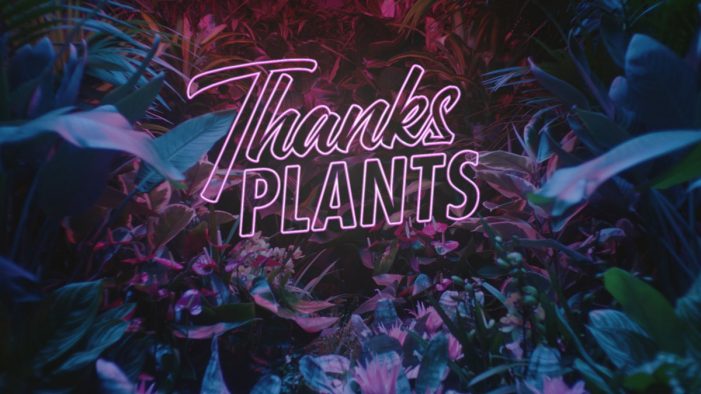 Quirky new ad by 180 Kingsday for Flower Council of Holland shows appreciation for plants
