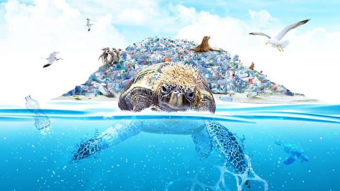 Sir Rod Stewart appears as a sea singing turtle in SodaStream’s campaign against plastic pollution