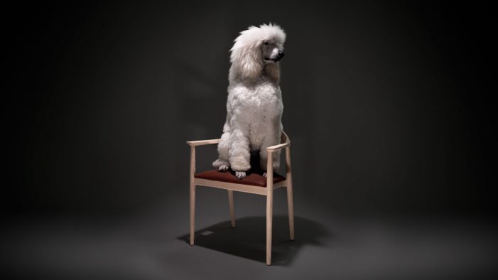 Vinge tells a spellbinding story about a chair with a special purpose in new ad by ANR BBDO