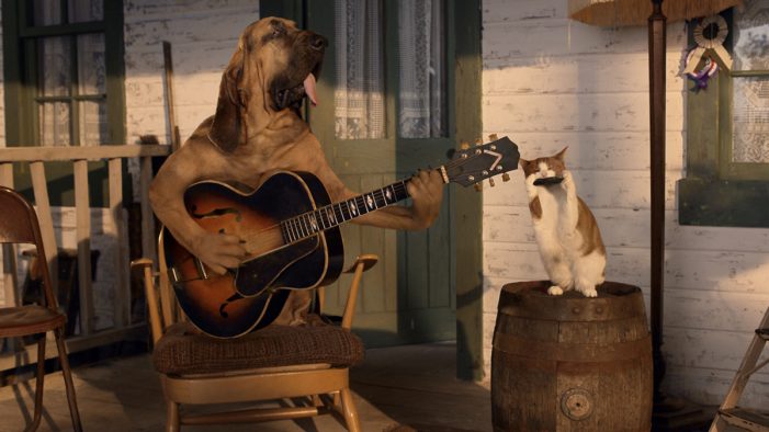 Pets have got the blues in new MORE TH>N campaign by VCCP