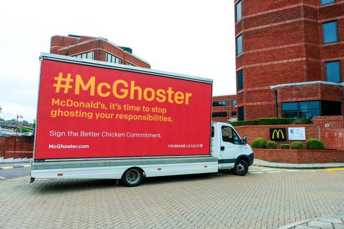 New #McGhoster Campaign by the Humane League Calls Out McDonald’s