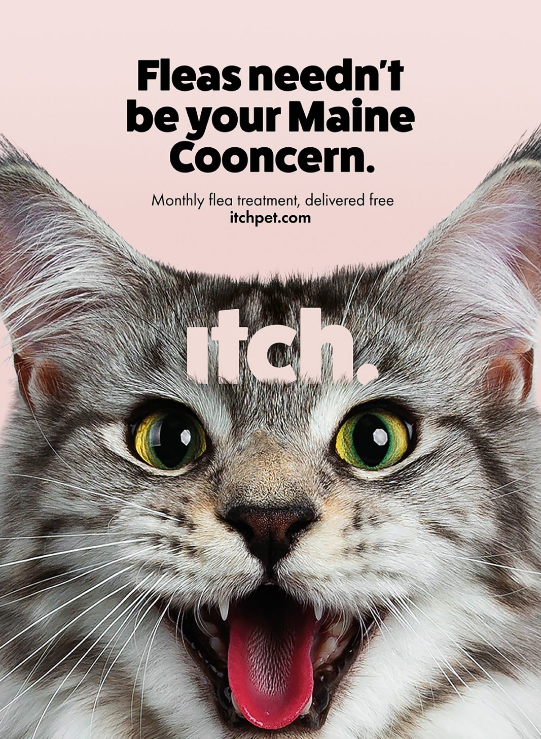 ITCH debuts first advertising campaign from NOW – Marketing ...