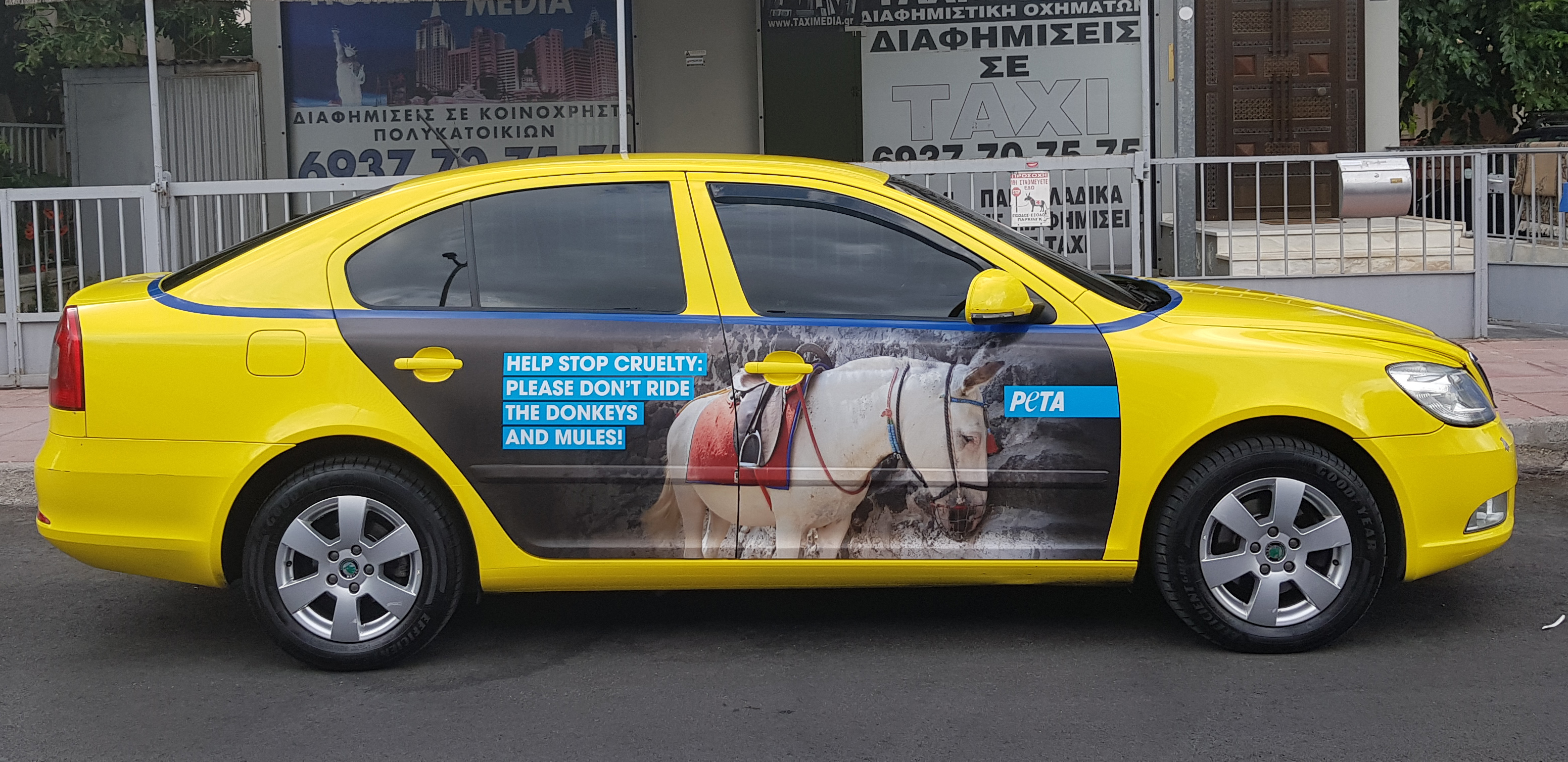 2019-Werbung-Eselreiten-Santorin-Taxi-02-c-PETA-D