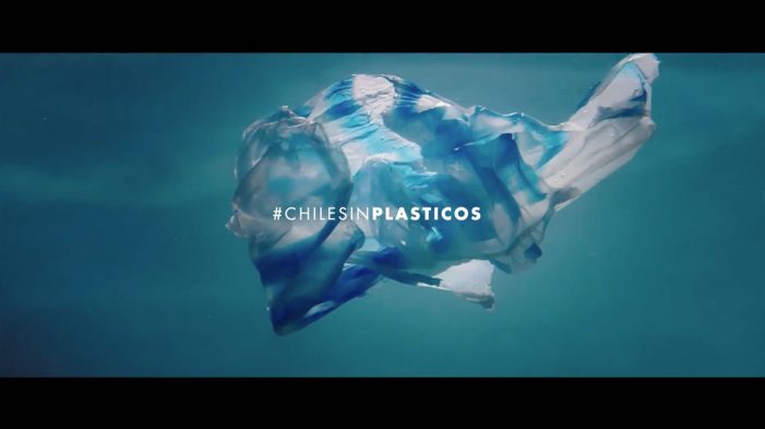 Greenpeace launches new campaign to fight against the single-use plastic