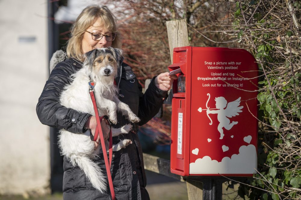 Lover resident Jan Russell posts a letter with Stanley, the village mascot who was born on Valentine’s day, in Lover, Wiltshire.