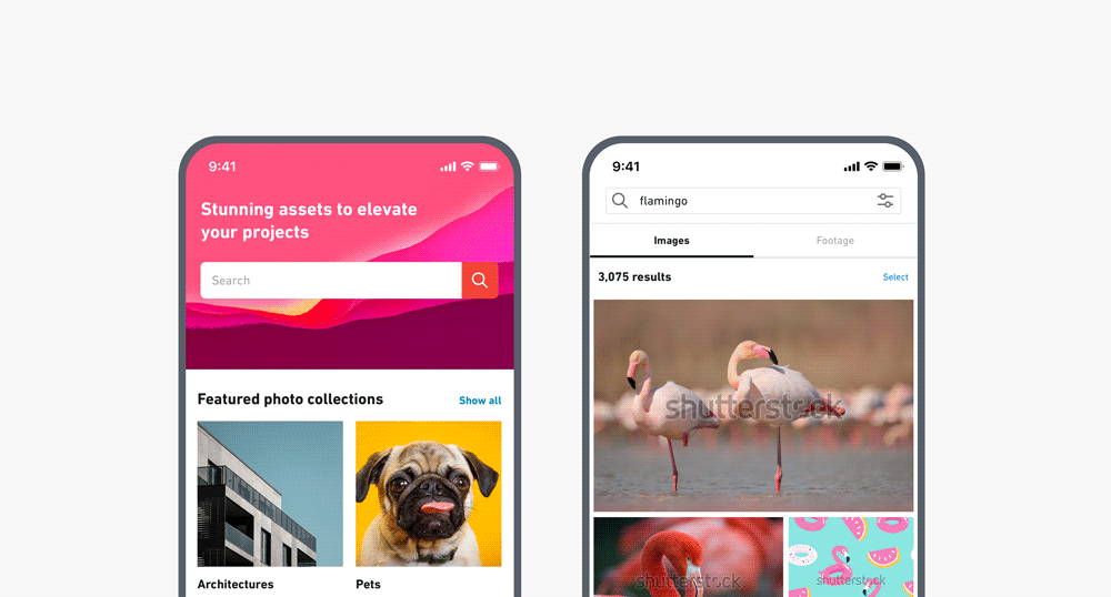 search-discover-gif