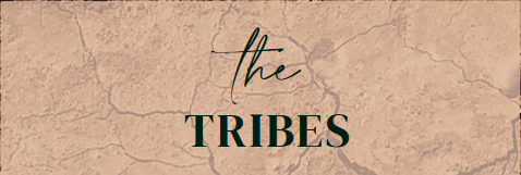 Female Tribes Network (FTNetwork) Launches – A Ground-Breaking New Social Media Platform By Women For Women