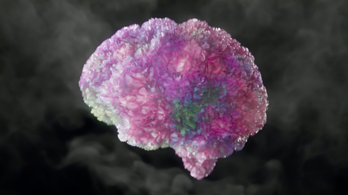Brains In Bloom: Air Wick’s Lush CGI Spot Visualises  The Mood-Enhancing Effects Of Aromatherapy
