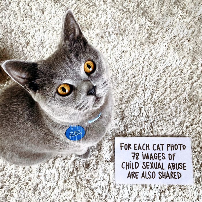 Wunderman Thompson Antwerp Launches #CatsforKids; Creates Awareness for Online Child Sexual Abuse Using Cats on Instagram