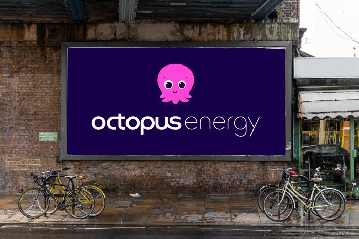 Why success shouldn’t change the octopus
