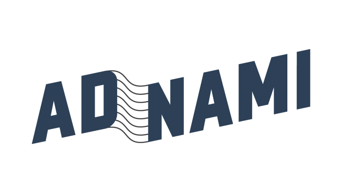 Adnami announces partnership with SeenThis as the tech companies join forces to enable lightning-fast video streaming in high impact formats