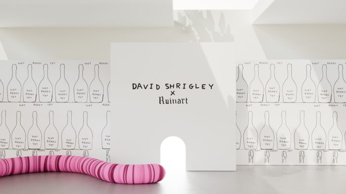 Discover ‘The Unconventional Gallery’ – A Digital Experience Making Art Accessible to all for Ruinart’s Collaboration with Artist David Shrigley by makemepulse