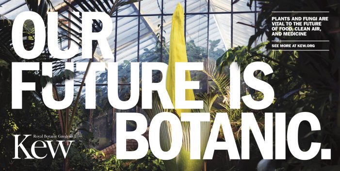 Royal Botanic Gardens, Kew Joins COP26 Summit, With New Brand Campaign Urging Policy Makers And The General Public That ‘Our Future is Botanic’