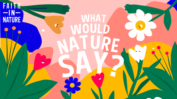 “HEY, WHAT WOULD NATURE SAY?”: A Celebration Of Nature’s Wisdom For Faith In Nature, By Dream Quickly, Produced By London-Based NOMINT And Directed By Odd Bleat.