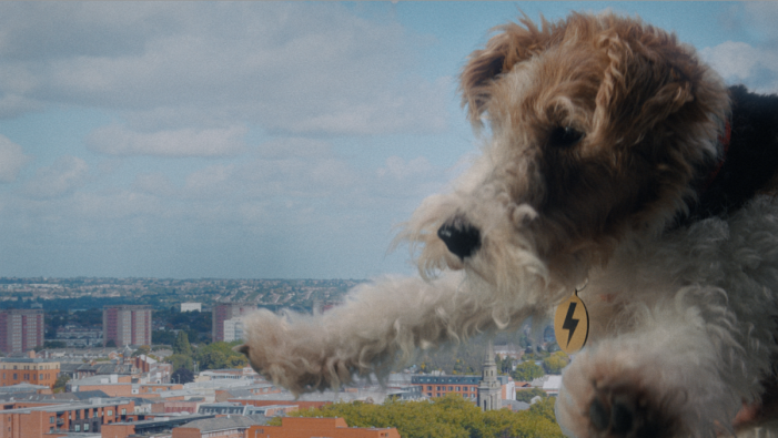 Einstein and his dog Chico share energy saving tips in AMV BBDO’s new campaign for Smart Energy GB