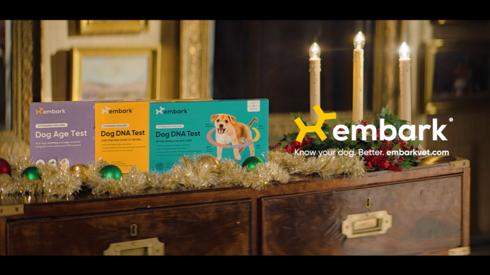 Know Your Dog Better With the Gift of Embark