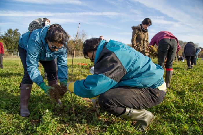 Branching out: Nectar and Woodland Trust extend partnership to 2027