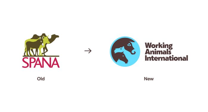 SPANA rebrands to become Working Animals International