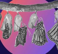 Frivolous spending is out, cocooning is back – UK consumers are clicking less but buying more