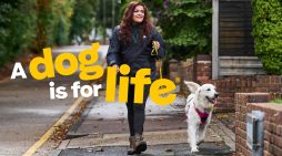 Dogs Trust launches brand refresh to unite all dog lovers