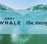 L.A. AGENCY THE MANY WINS GRAY WHALE SPIRITS CO. BUSINESS