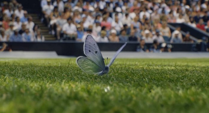 Wimbledon captures the emotion of The Championships in striking new campaign: ‘Where beauty meets the battle’