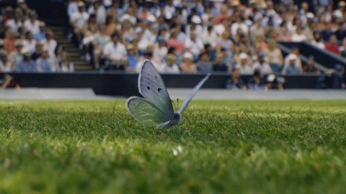 Wimbledon captures the emotion of The Championships in striking new campaign: ‘Where beauty meets the battle’