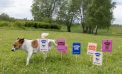 New Swedish campaign turns dogs’ natural marking into a powerful protest against irresponsible breeding