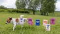 New Swedish campaign turns dogs’ natural marking into a powerful protest against irresponsible breeding