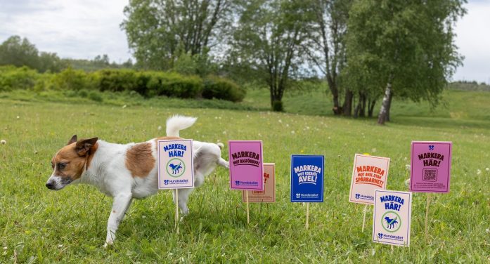 New Swedish campaign turns dogs’ natural marking into a powerful protest against irresponsible breeding