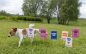 New Swedish campaign turns dogs’ natural marking into a powerful protest against irresponsible breeding