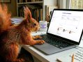 CreatorOS launches Nutcake to bring AI-powered assistance to creator marketing