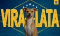 PEDIGREE® launches campaign to honor mutts and change the meaning of the term in Brazil