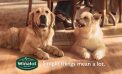 Winalot set to reach £100 million with new creative campaign and 5 collaboration
