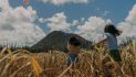 Aruba Tourism Authority Debuts Short Film “When You Love Aruba, It Loves You Back” as Centrepiece of “The Aruba Effect”