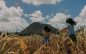 Aruba Tourism Authority Debuts Short Film “When You Love Aruba, It Loves You Back” as Centrepiece of “The Aruba Effect”