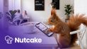 CreatorOS becomes Nutcake, pairing its established platform with AI-driven data analysis