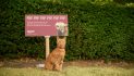 Meow-out-of-home! Marro and Wonderful Things create the first billboards for cats that they can actually scratch