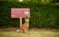 Meow-out-of-home! Marro and Wonderful Things create the first billboards for cats that they can actually scratch