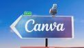 Coo Coo! Canva’s Creative Pigeon Returns to Help a Stray Cat Find a Home