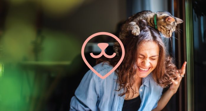 Pet protection specialist identibase becomes identi with new branding and app created by Perfect Storm