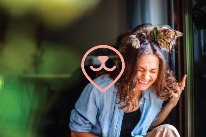 Perfect Storm Pet protection specialist identibase becomes identi with new branding and app created by Perfect Storm