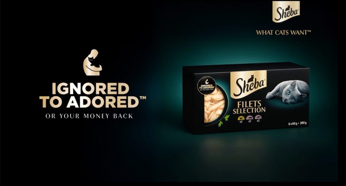 SHEBA – IGNORED TO ADORED